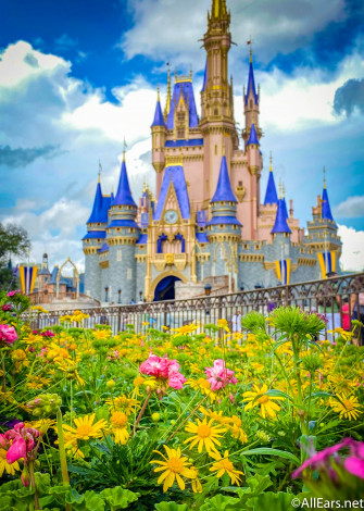 Cinderella Castle Flowers Portrait Wallpaper Allears Net
