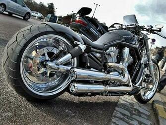 Harley