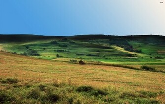 Green Hills Wallpaper