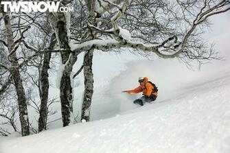 Wallpaper Wednesday Powder Surfing In Japan Transworld Snowboarding