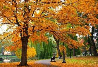 Some Rooms That Give Me The Feeling Of Fall Coziness And Tranquility