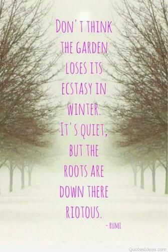 Poem Wallpaper 4usky