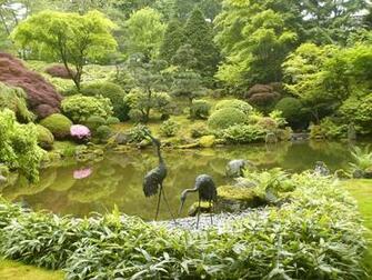 Zen Garden Buddha Wallpaper Iph