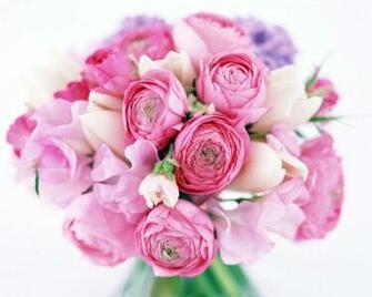 Pink Peony Flowers Bouquet HD Wallpaper Nature