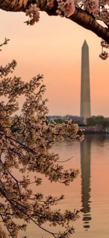 Washington Dc iPhone Wallpaper