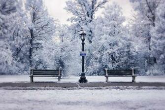 Snow Scenes Wallpaper Scene By Archangelical