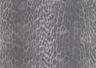 Sticky Back Plastic Pamir Asian Wallpaper London By