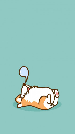Cute Animal iPhone Wallpaper