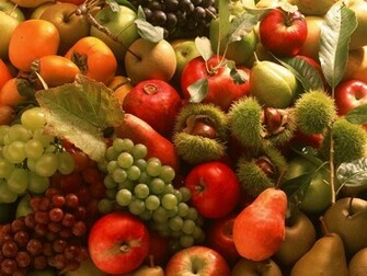 Fruits Wallpaper Album Funjunktion