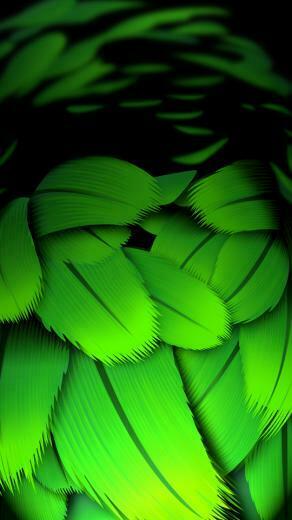 Microsoft Lumia Stock Wallpaper