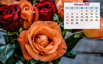 Calendar Wallpaper For HD Monthly