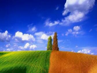 Pretty Nature Wallpaper