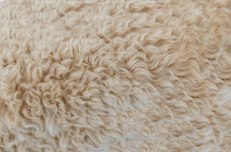 Background Beige Brown Close Up Color Craft Design