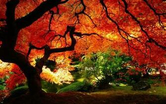Autumn Colors Country Desktop Wallpaper Background To Brighten Up