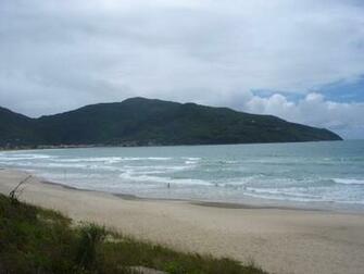 New Apartment Located In The Preserved Beach Florian Polis A Ores