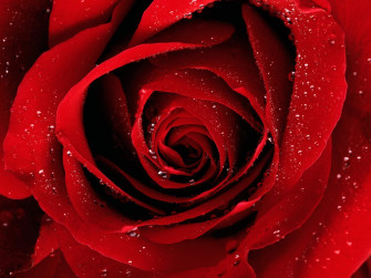 Red Desktop Wallpaper