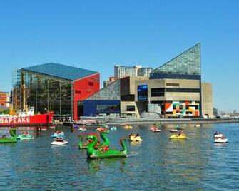 National Aquarium Baltimore Maryland City Wallpaper