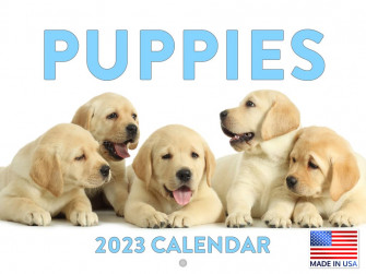 Amazon Puppy Calendar Monthly Wall Hanging Calendars