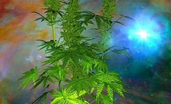 Weed 3d Live Wallpaper Full Screenshot