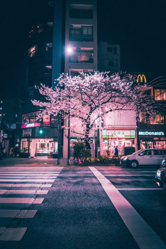 Japan Visuals On Photography Aesthetic