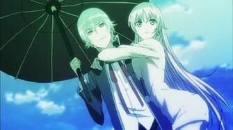 Image Shiro Neko HD Wallpaper And Background Photos