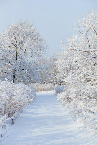 Winter Aesthetic Pictures Image