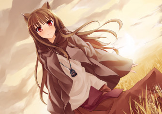 Animal Ears Brown Hair Clouds Horo Long Ookami To Koushinryou