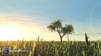 Vertical Resolutions 3d Wallpaper Background Including Dual Monitor