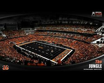 The Ultimate Cincinnati Bengals Desktop Wallpaper Collection Sports