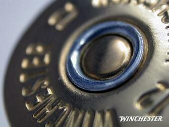 Winchester International