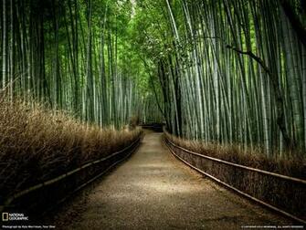 Wallpaper Bridges National Geographic Desktop