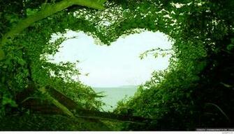 Nature Wallpaper With Quotes Image
