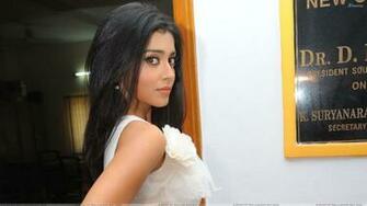Shriya Saran Side Pose At Nuvva Nena Press Meet Wallpaper