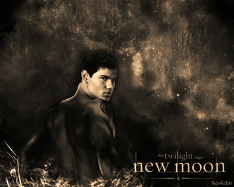 Taylor Lautner Shirt Off New Moon Wallpaper