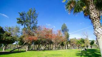 Gardens Parks Pictures Image Of Parque Morelos
