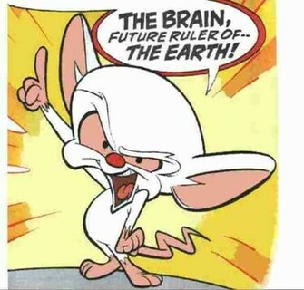 The Brain Pinky And