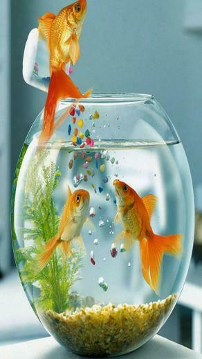Wallpaper Samsung Galaxy S4 Beautiful HD