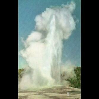 Old Faithful Geyser Yellowstone National Park Wy Wyoming Vintage From