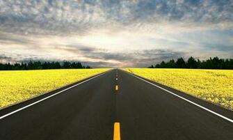 Long Road Yellow Field Green Trees HD Wallpaper