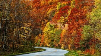 Fall Wallpaper Covers Printables By Kate Net
