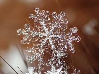 Ice Crystal Wallpaper