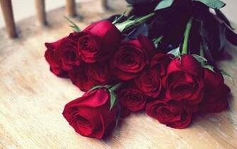 Wallpaper Red Rose