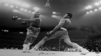 Muhammad Ali Boxer Quotes Funny