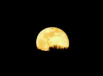 Full Moon Wallpaper Background Theme Desktop