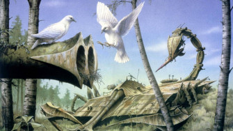 White Dove Wallpaper