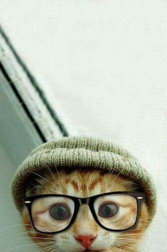 Cute Hipster Kitty Android Wallpaper