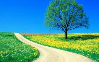 Spring Road