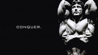 Arnold Wallpaper HD
