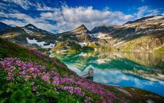 Spring Landscape In Mountains With Flower Wallpaper By Willwerock