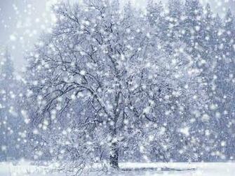 Beautiful Snowfall Real HD Desktop Wallpaper In